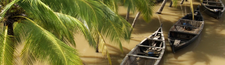 paysage fluvial spécial au delta du mékong