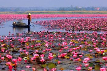 Cu Lao Gieng - Cao Lanh - Sa Dec