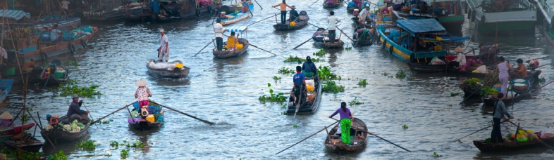 marché flottant au delta du mékong