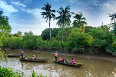 vinh long île d'an binh
